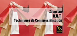 Vente Paquet BUT Techniques de Commercialisation