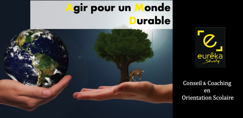 main planete arbre monde durable